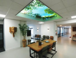 Psychologiepraktijk A. Jansen - PSYJA - De Meesters Business Center - Koninginneweg 1 - Zwijndrecht